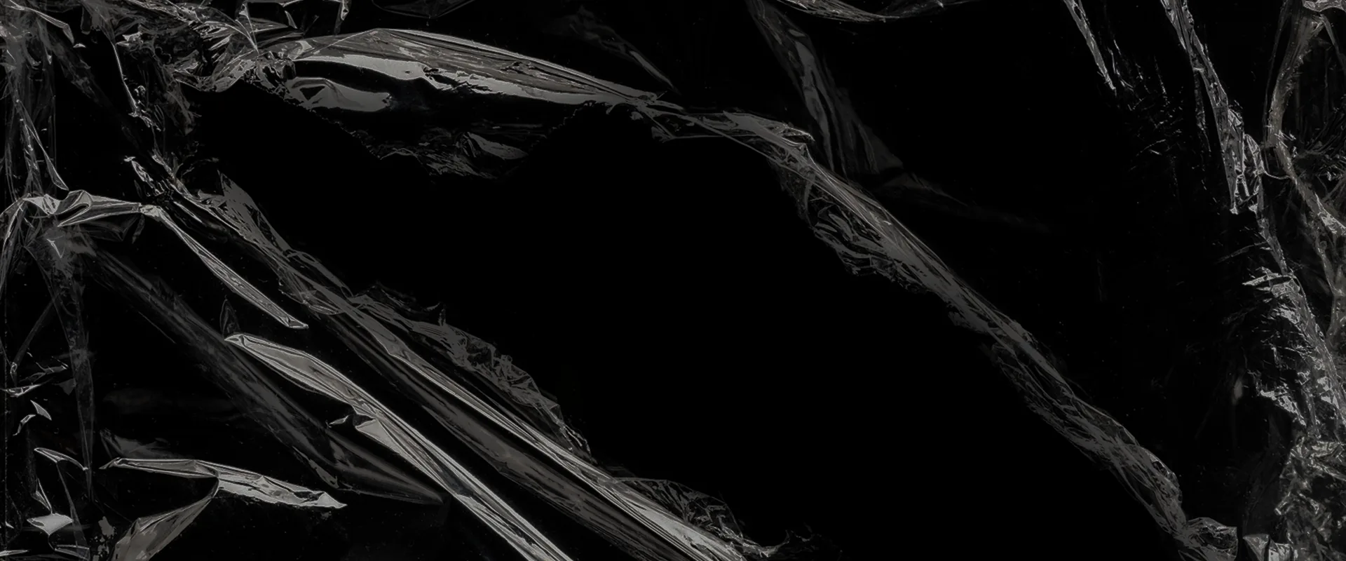 Euphoria Group Background